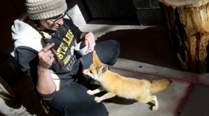 Zootah offering free admission March 6