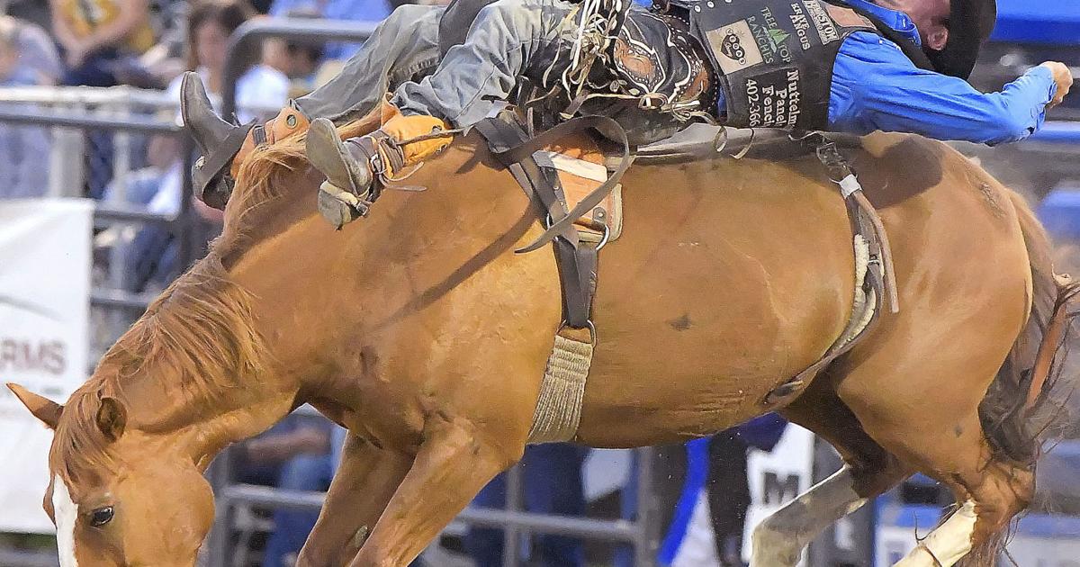 Cache Rodeo Jpg Image Loaded bareback field delivers on first night of Cache County Rodeo ...