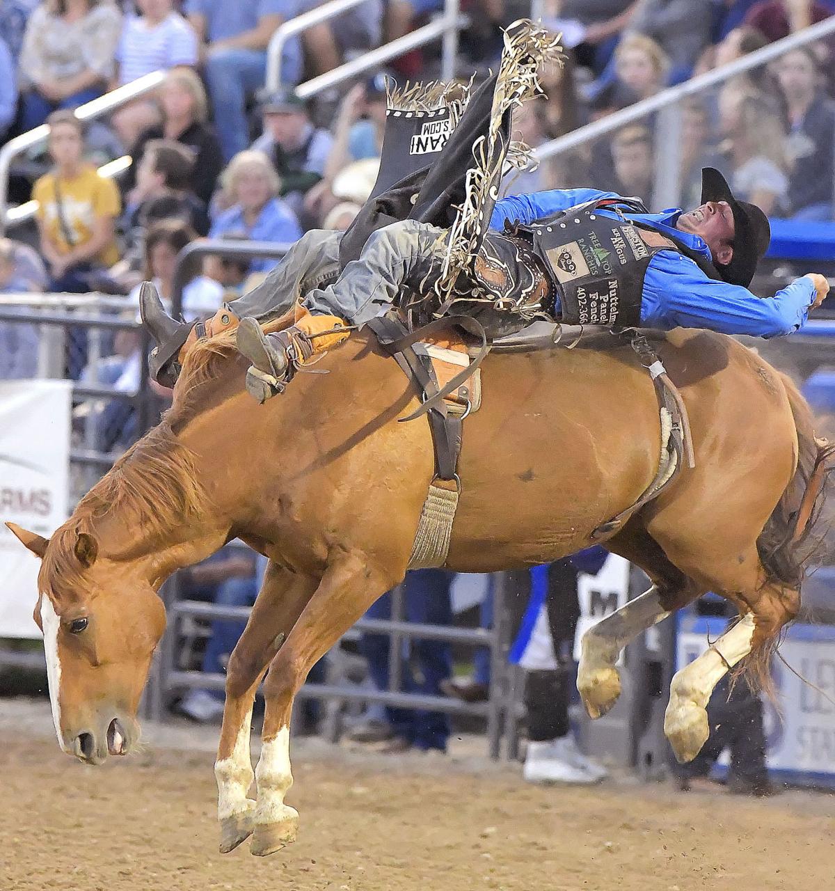 Loaded bareback field delivers on first night of Cache County Rodeo