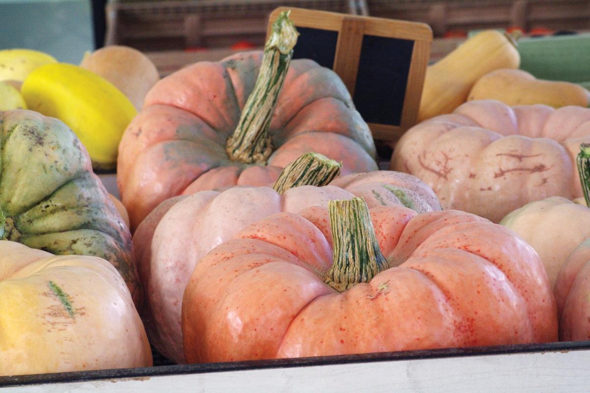 pick a pumpkin any pumpkin tremonton leader