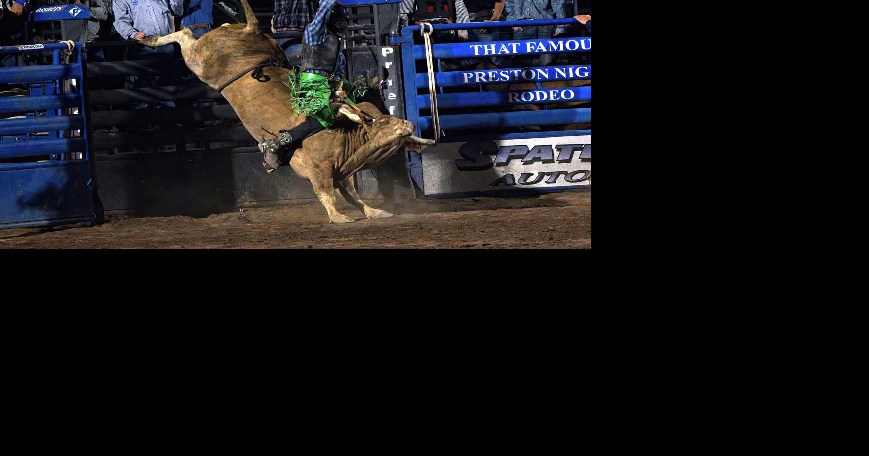 That Famous Preston Night Rodeo 2023 Preston Citizen