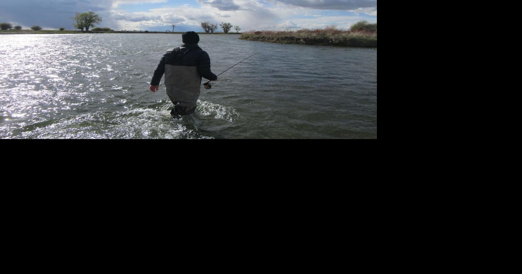 States need consistent federal partners in fish and wildlife management ...