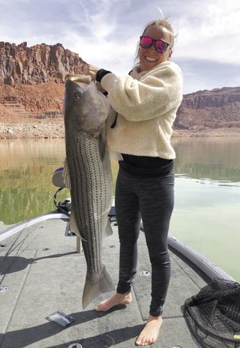 Utah DWR: Please keep the smaller lake trout caught at Flaming Gorge