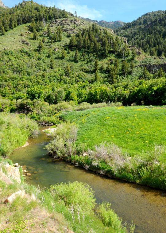 Conservation easement OK’d for 5,000acre ranch in Blacksmith Fork