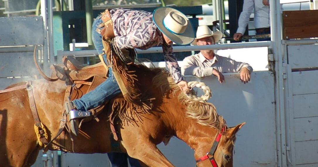 Cowboy suffers broken neck, serious back injury when thrown from horse ...