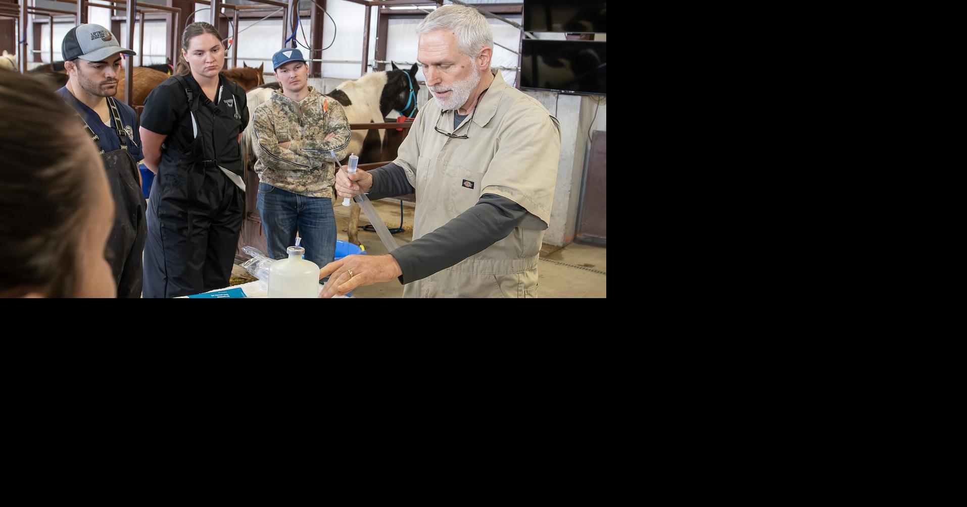 USU forging path to becoming first four-year veterinary school in Utah ...