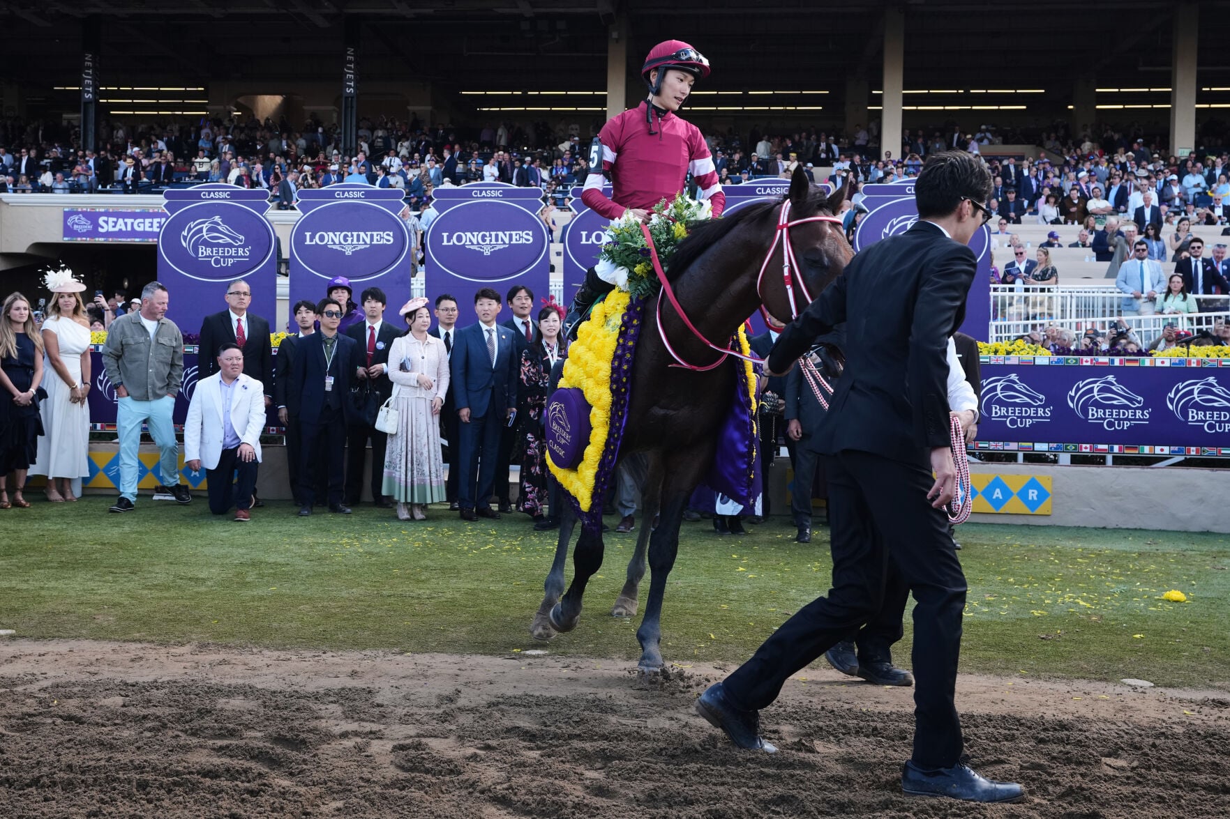 Breeders' Cup Draw Horse Racing | National Sports | hjnews.com