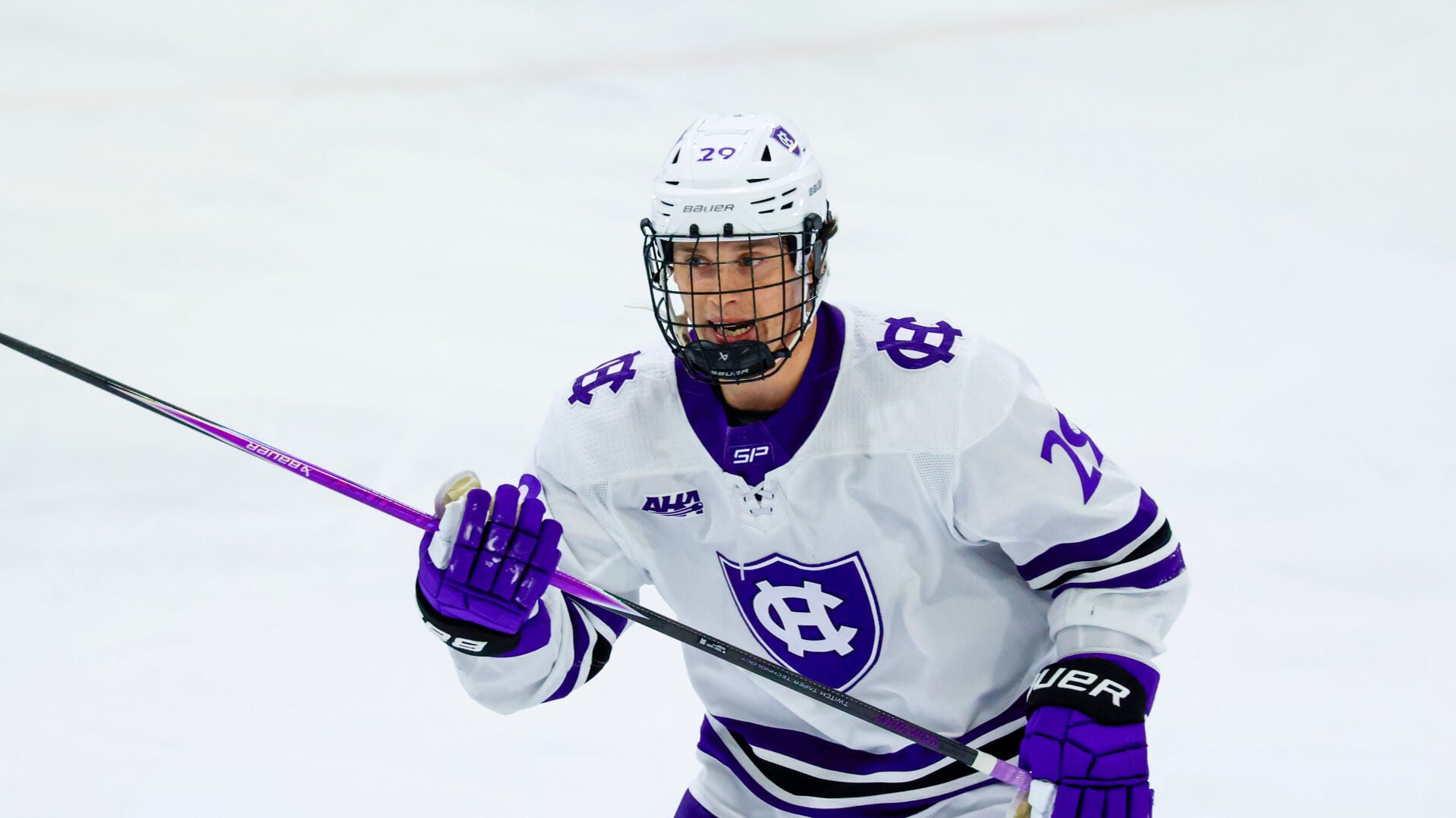 Cross Angry Holy Cross Hockey | National Sports | hjnews.com