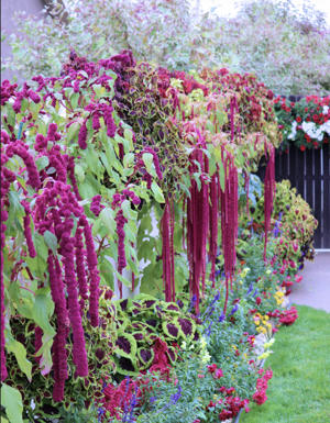 Cache Garden Club to host 2026 Garden Tour