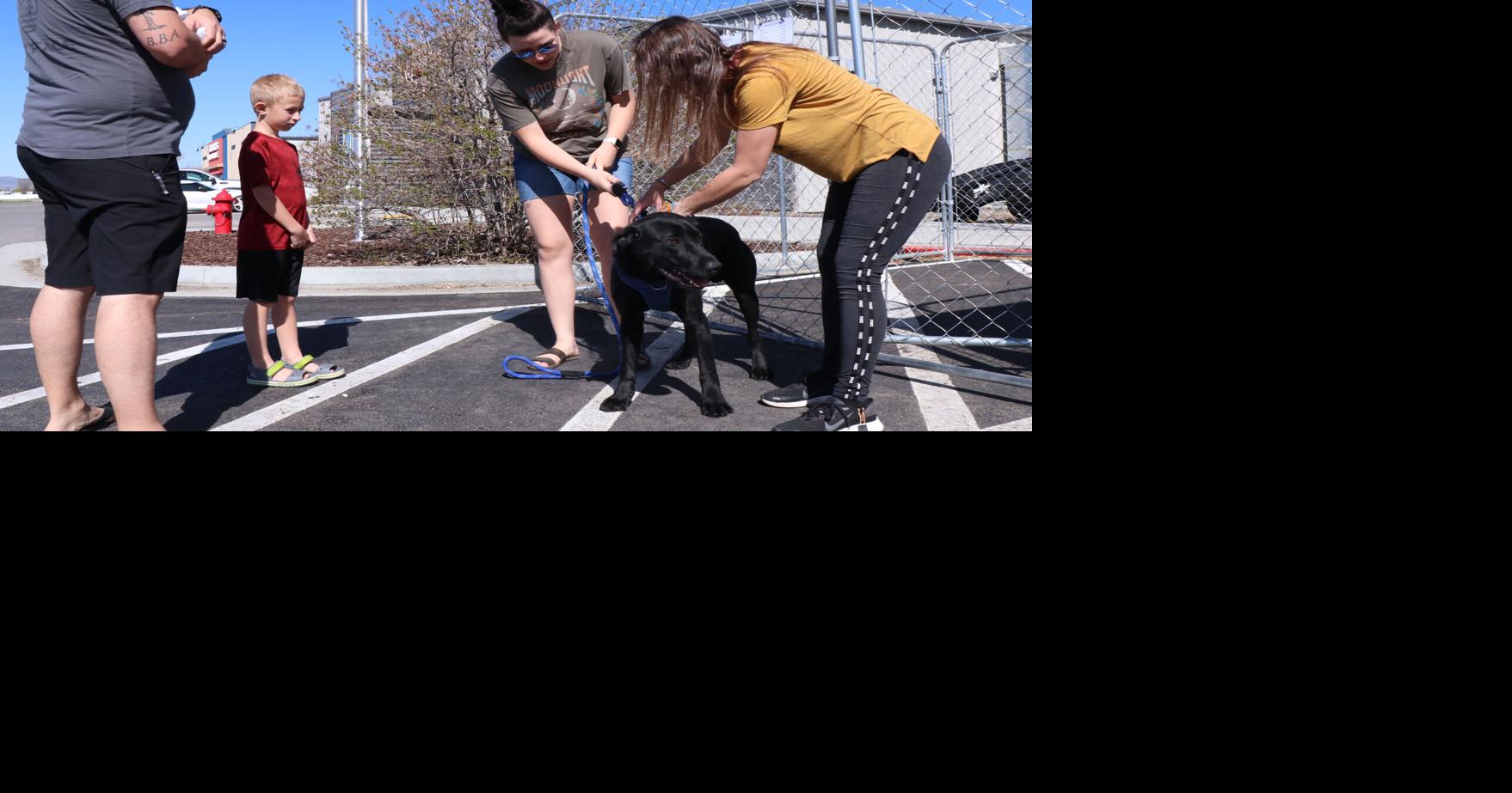 A more humane approach Tremonton animal shelter working to achieve 'no
