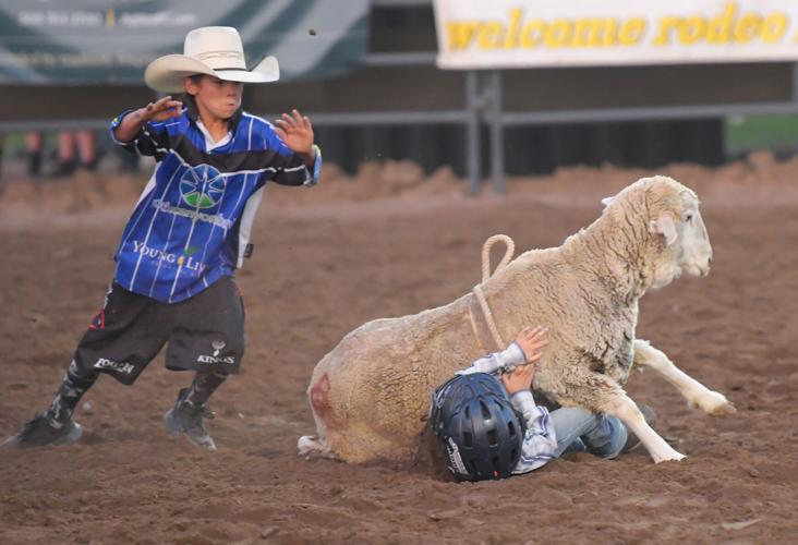 Photo Gallery That Famous Preston Night Rodeo Multimedia