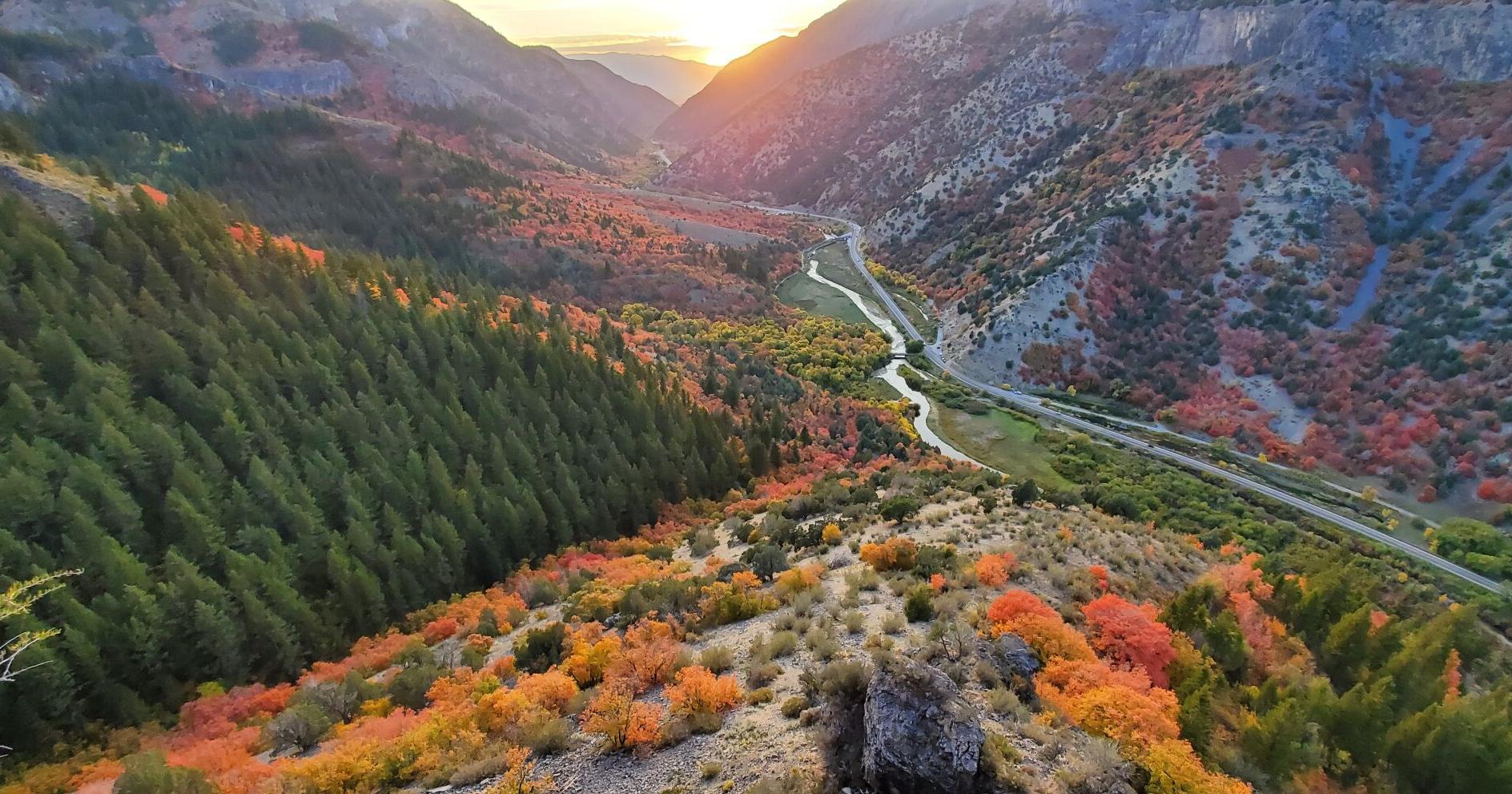 Logan Canyon a true treasure for many - Vimarsana News