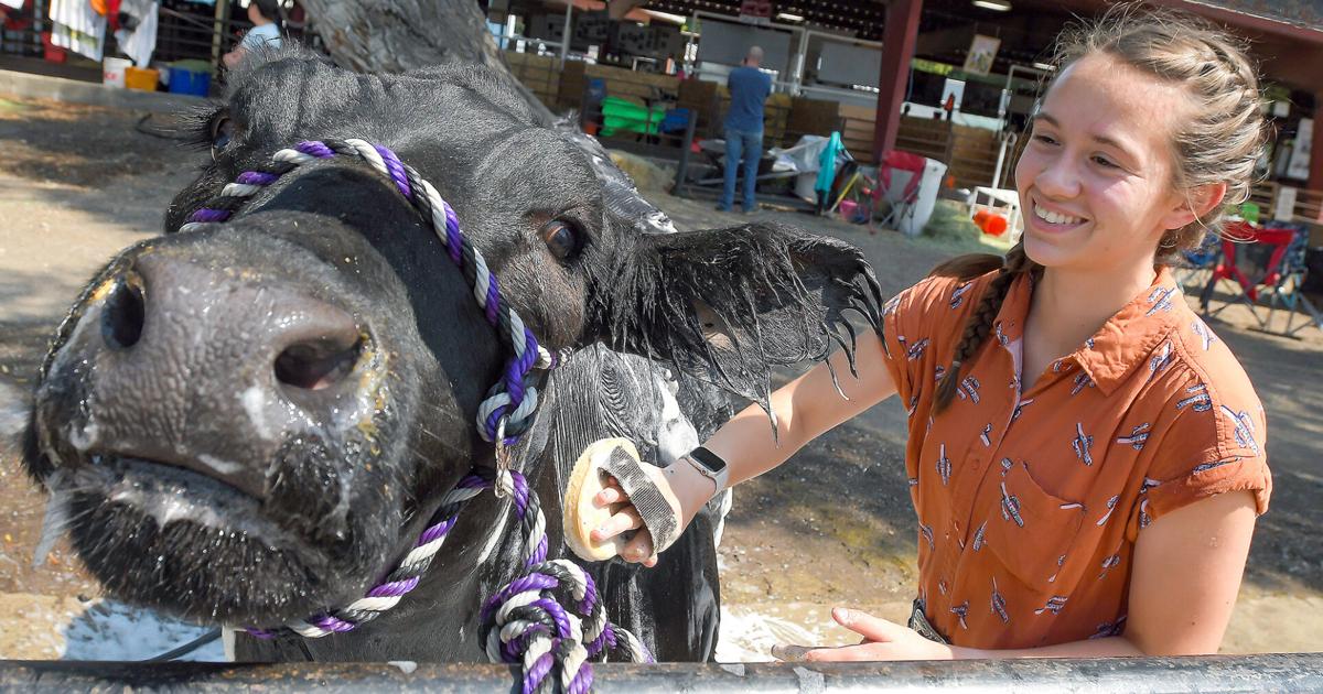Cache Rodeo Jpg Image Photo Gallery: Cache County Fair & Rodeo | Multimedia | hjnews.com