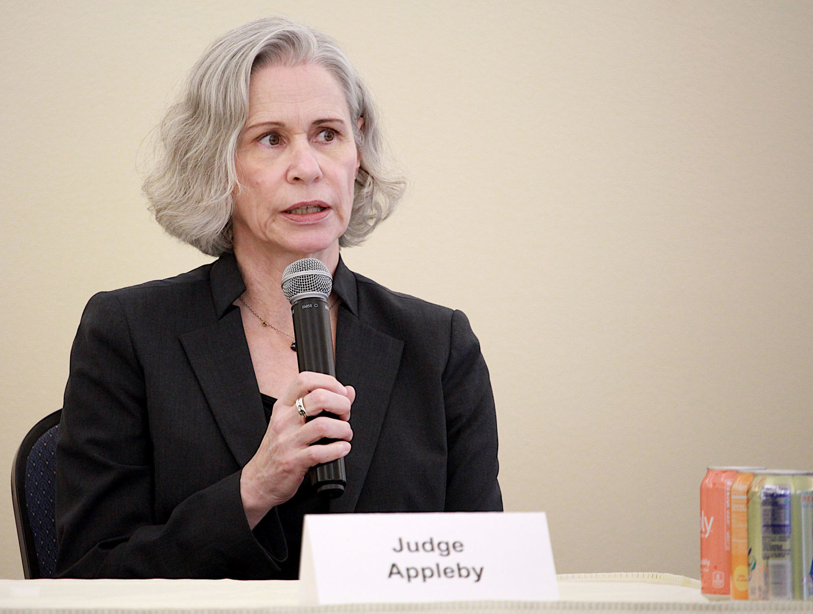 Women judges cite mentors opportunities group efforts road to