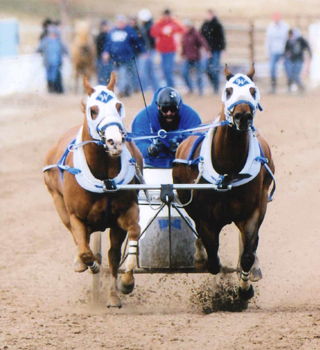 Preston resident places 2nd in World Chariot Racing Championship ...
