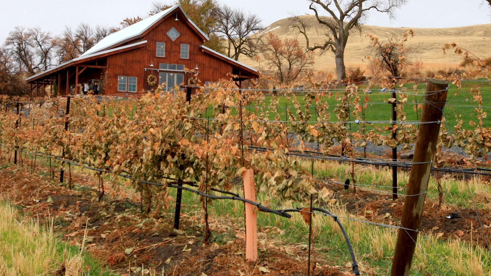 Hyde Park Vineyard Opens Event Venue Logan Hj Hjnews Com