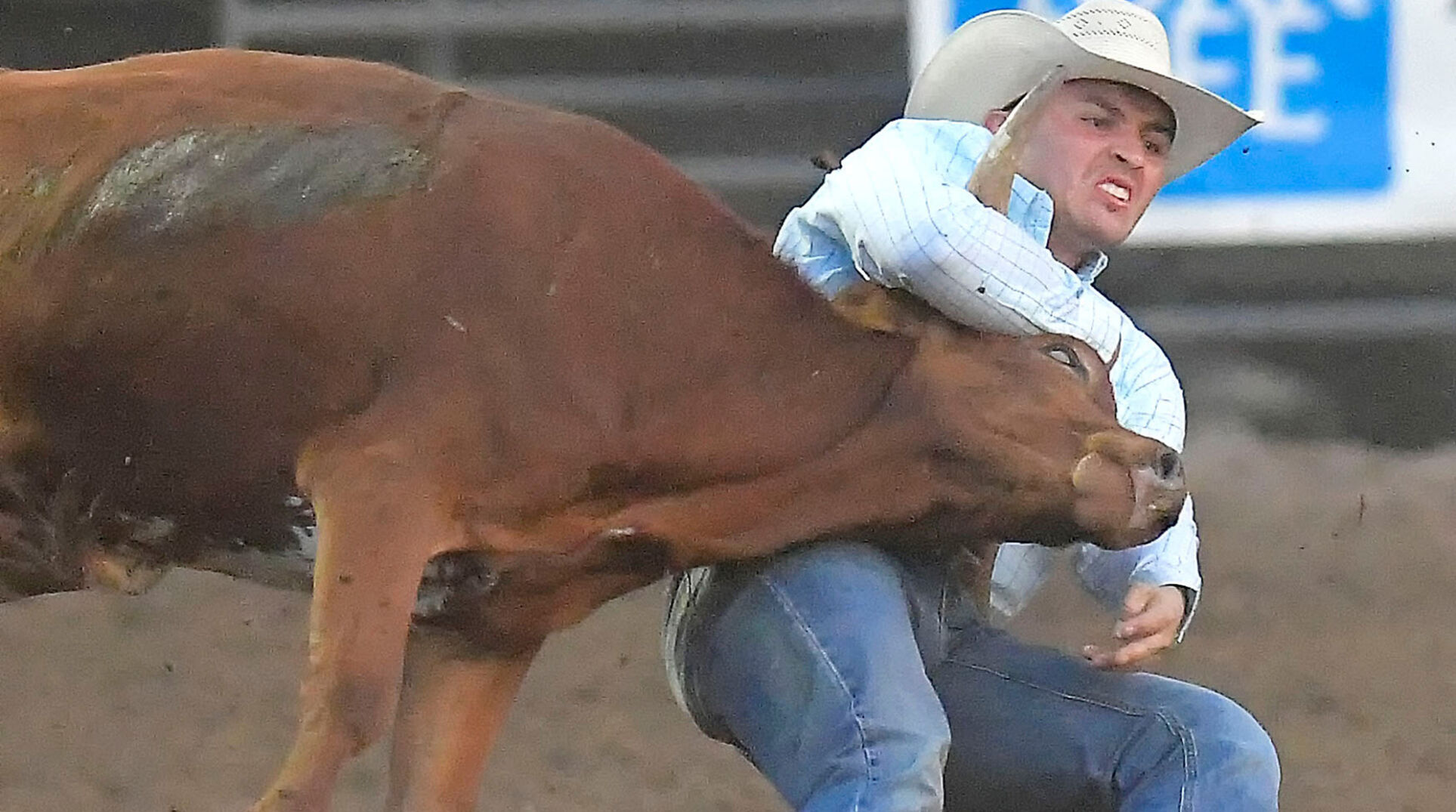 Three nights of rodeo coming to Preston Local Sports hjnews pic