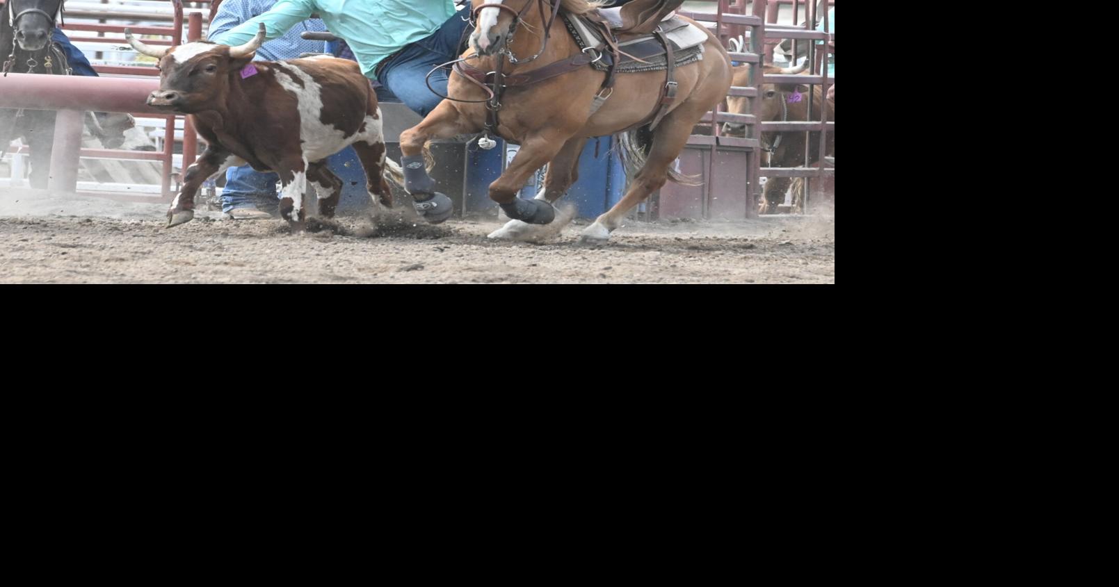 Idaho High School Rodeo State Finals NewsExaminer