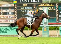 Santa Anita Horse Racing | National Sports | hjnews.com