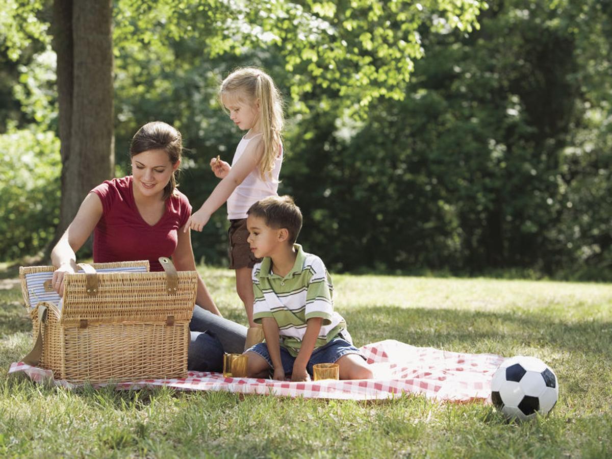 Пикник 1 3. Семья на пикнике. Дети и природа. Пикник на природе. Пикник с семьей на природе.