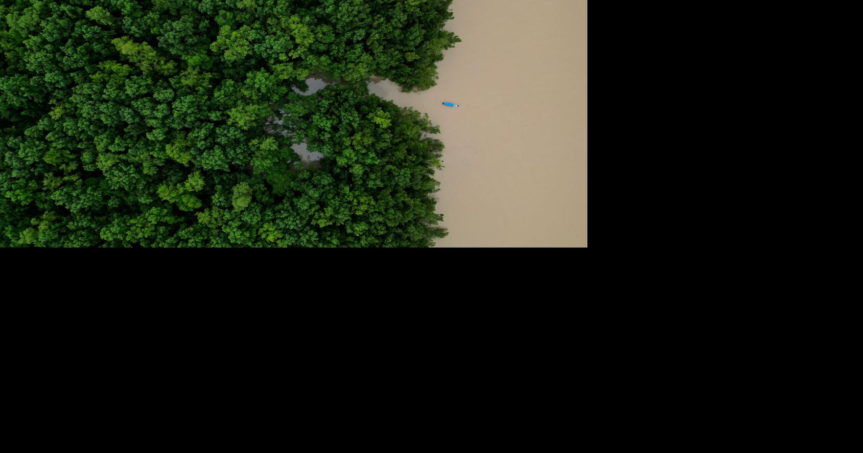 Brazil Amazon Ecological Investment