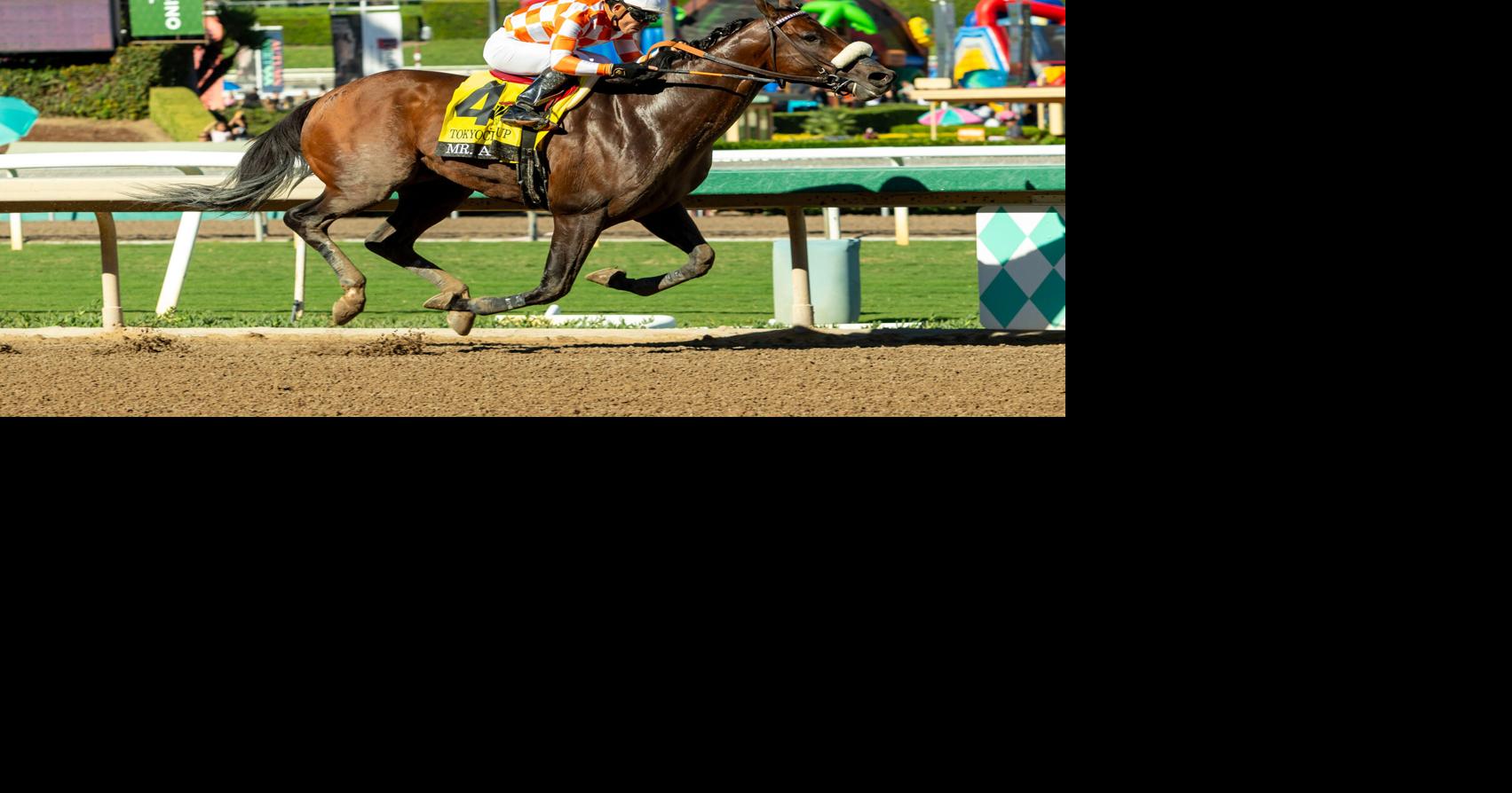 Santa Anita Horse Racing