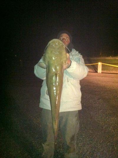 Millville Man S Catch Confirmed As Utah Record Channel Catfish The Herald Journal Hjnews Com