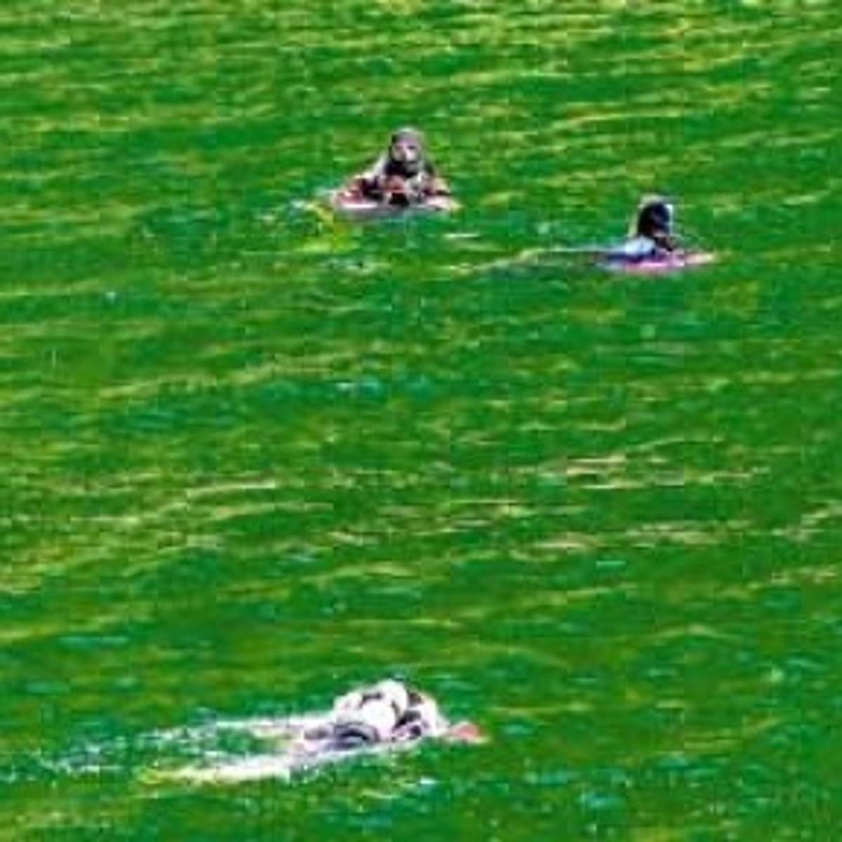Man Drowns In Porcupine Dam Hjnews Com