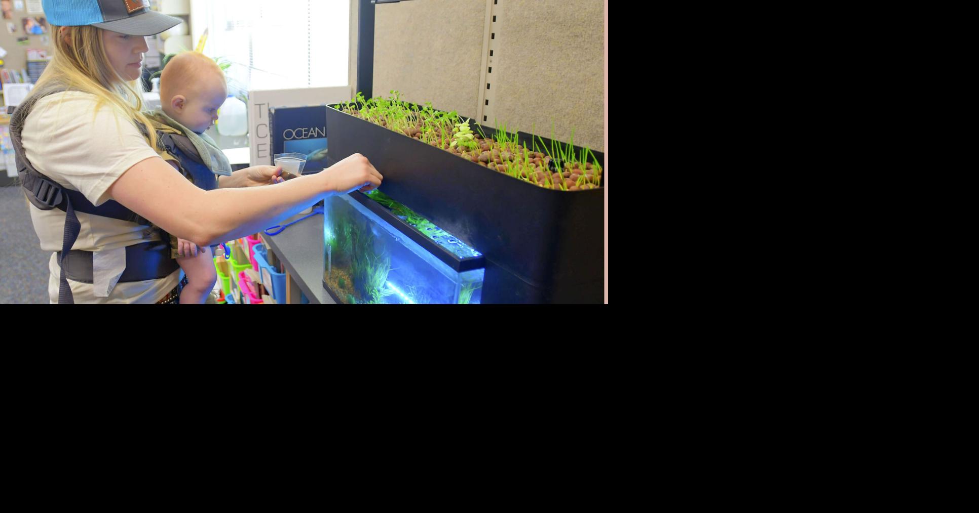 Lewiston teacher wins national award for agriculture teaching