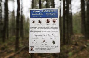 Local health officials talk ticks, encourage mindfulness following dry winter
