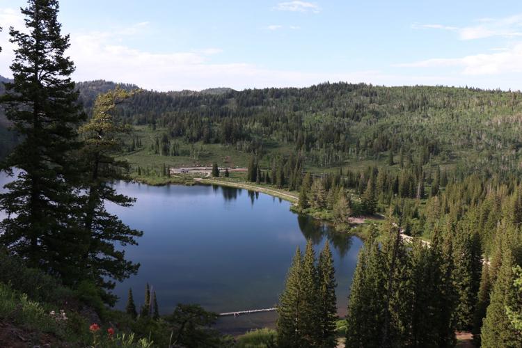 Summer solitude — at Tony Grove? Road closure presents rare opportunity ...
