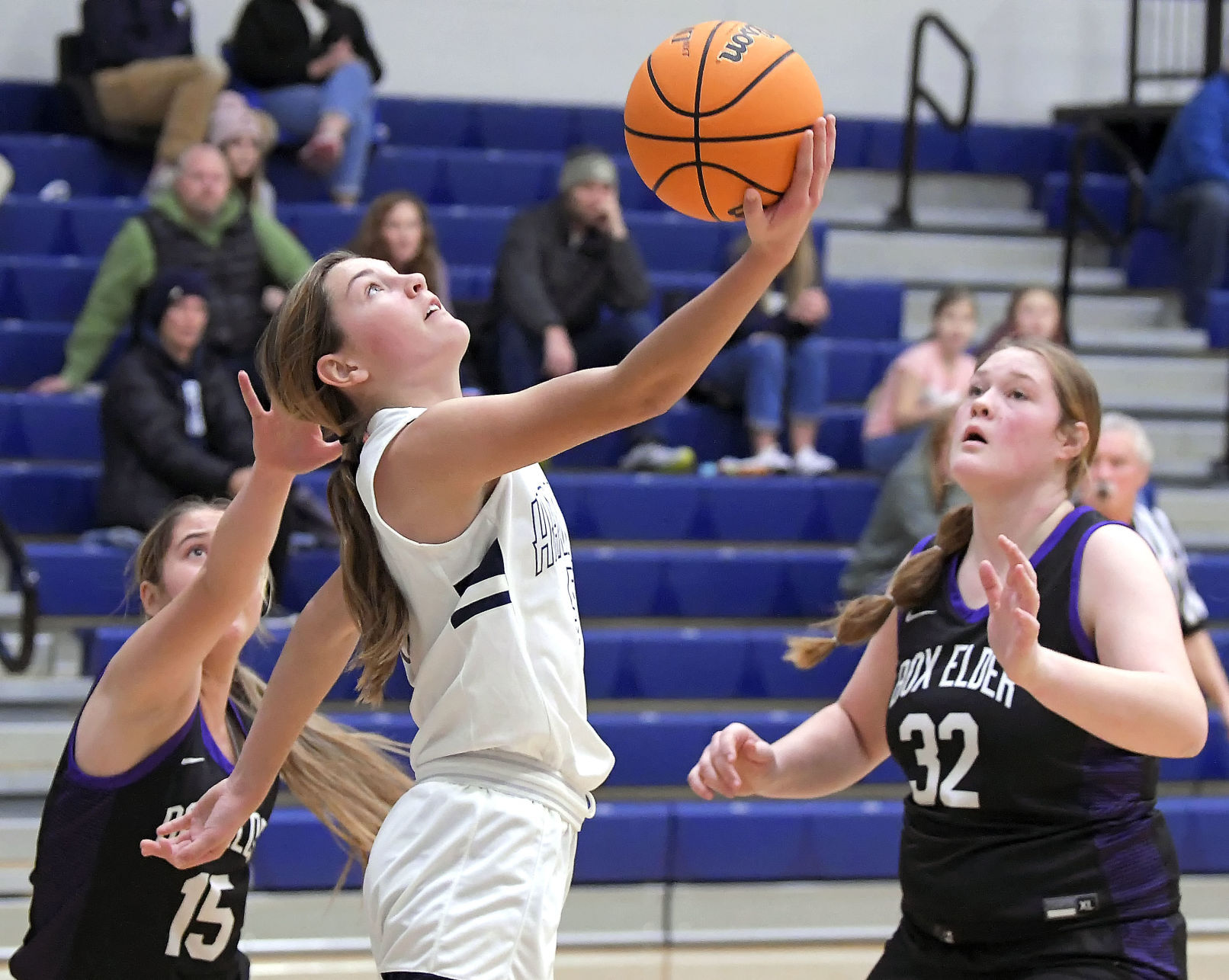 ridgeline youth basketball