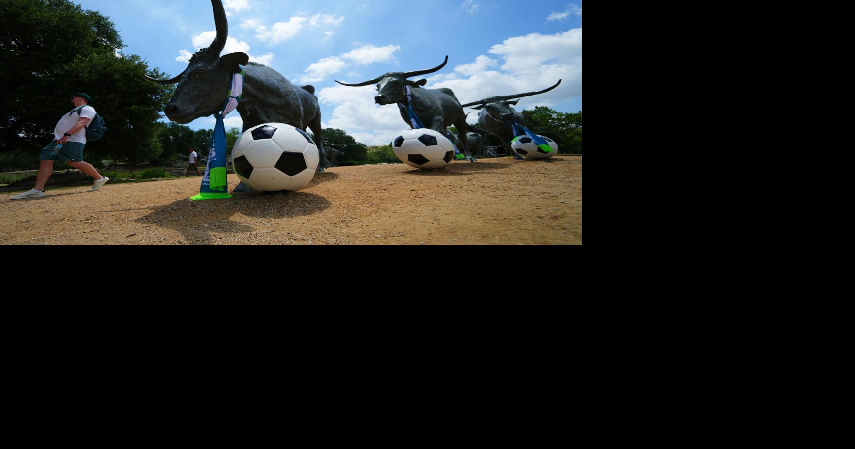 Texas WCup Soccer