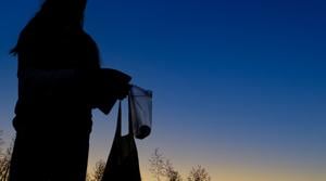 Nibley offers rare firefly sightings with Stokes Nature Center