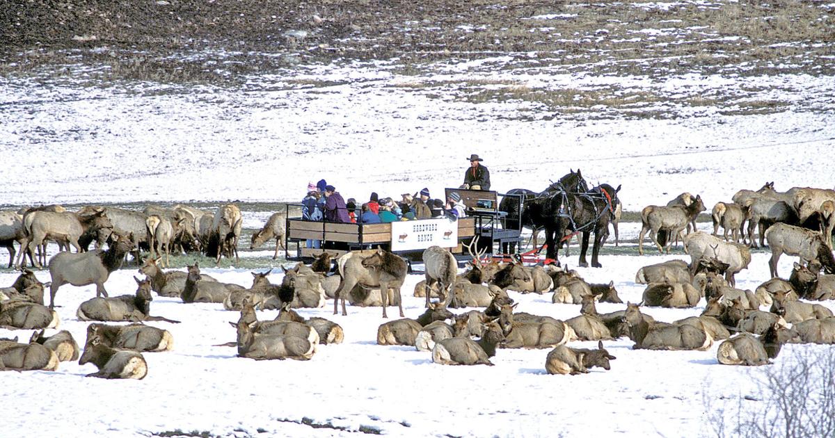 Hardware Ranch Have fun, see wild elk: Annual festival Saturday at Hardware Ranch ...