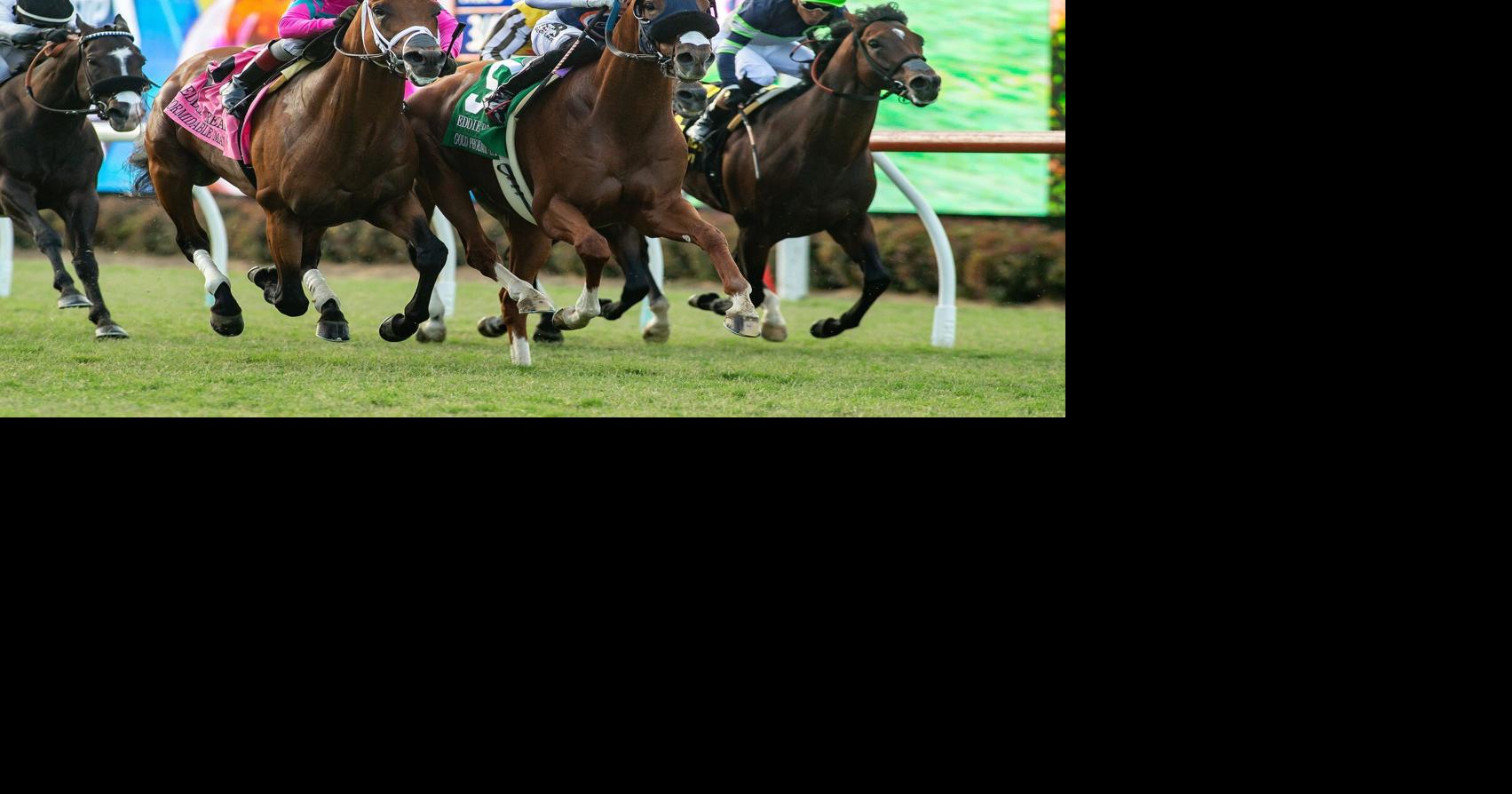 Del Mar Horse Racing