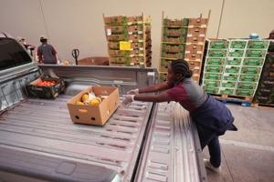 ‘Anxiety is high’: SNAP shutdown drama highlights food insecurity, inflation, strains on food banks
