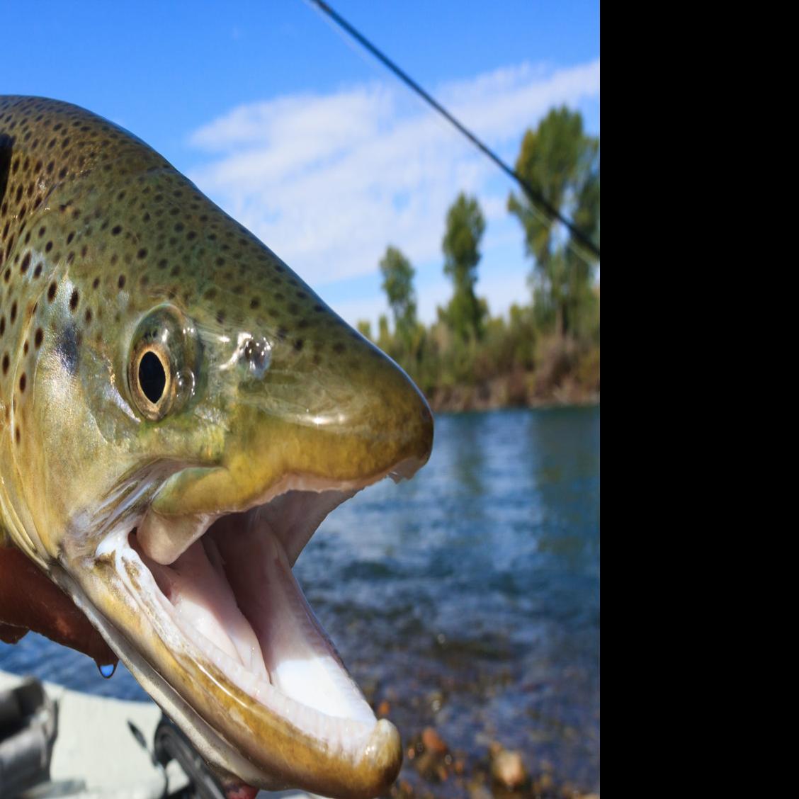 Pennsylvania fishing record broken by Franklin County angler