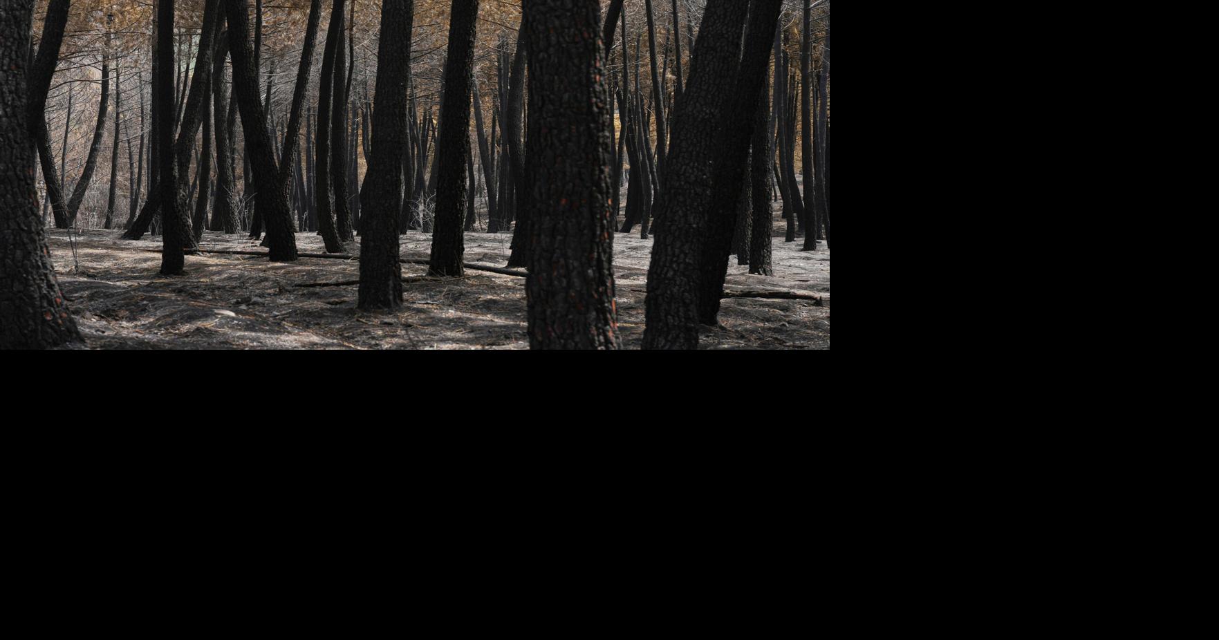 Spain Europe Wildfires