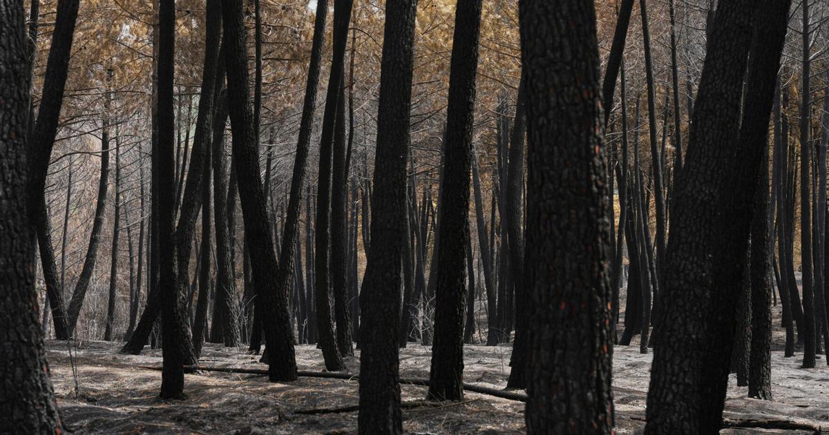 Spain Europe Wildfires