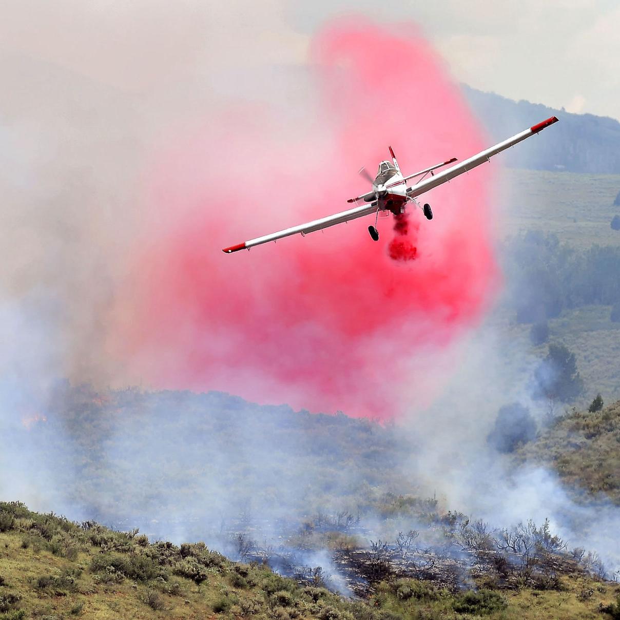 Firework caution paying off? Despite dry conditions, human-start wildfires are down so far in 2021 - Vimarsana News
