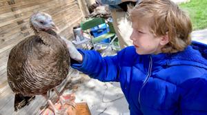 Baby Animal Days 2026 draws crowds, connection