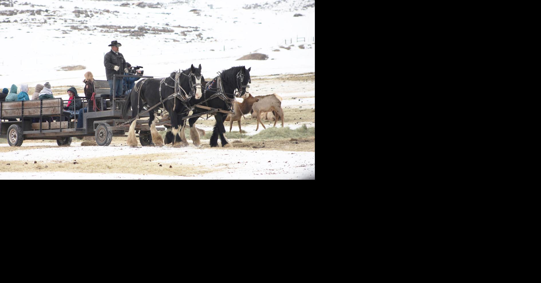 Sleigh rides return to Hardware Ranch with extended December schedule ...