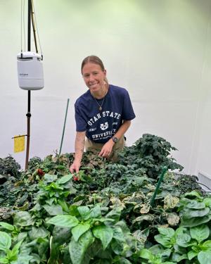 USU researchers explore mini vegetable plants for urban agriculture