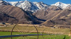 Climate data analyst says Thanksgiving weekend weather forecast largely uncertain