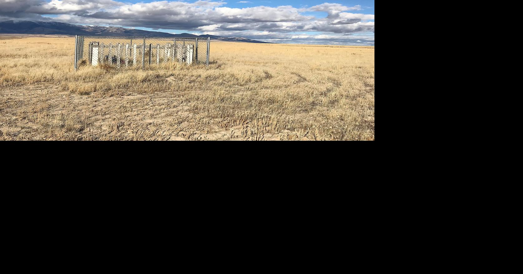 Editor's Corner The fascinating story behind a lonely Box Elder