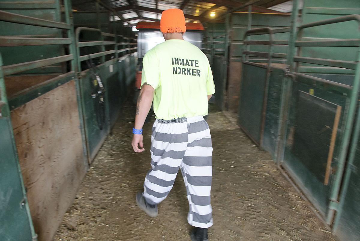 Cache County Jail inmates provide service to community The Herald