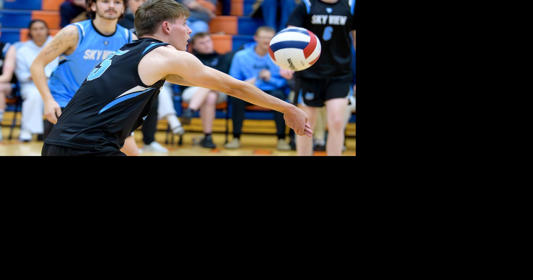 Prep athletics: Several local athletes selected as region MVPs