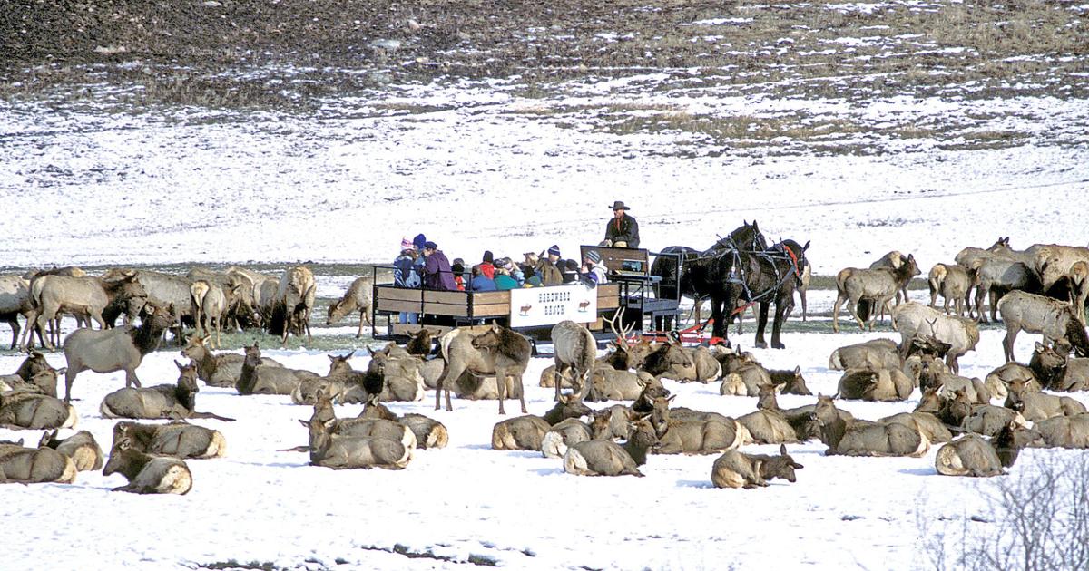 Hardware Ranch Sleigh Rides Hardware Ranch Wildlife Management Area cancels sleigh rides, shortens ...