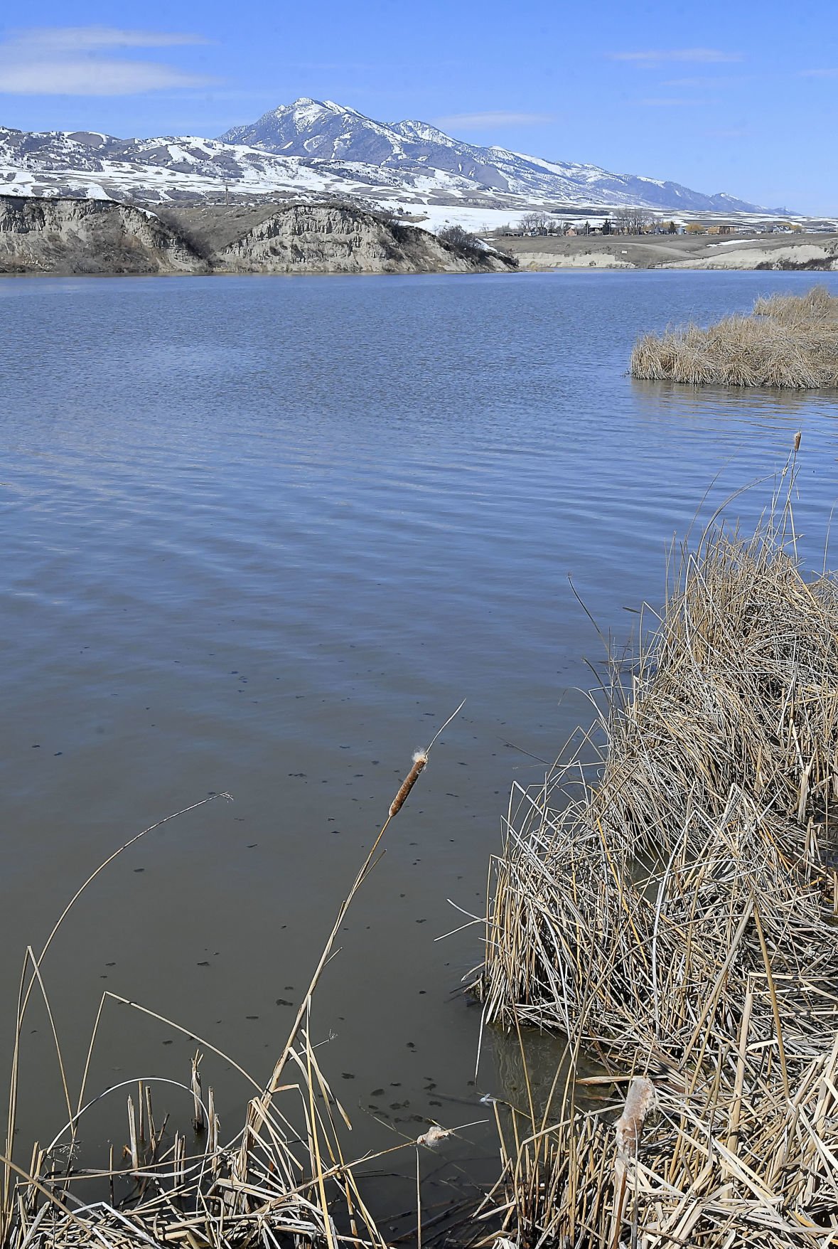 Fish In Cutler Reservoir Rely On Clean Water Steady Levels